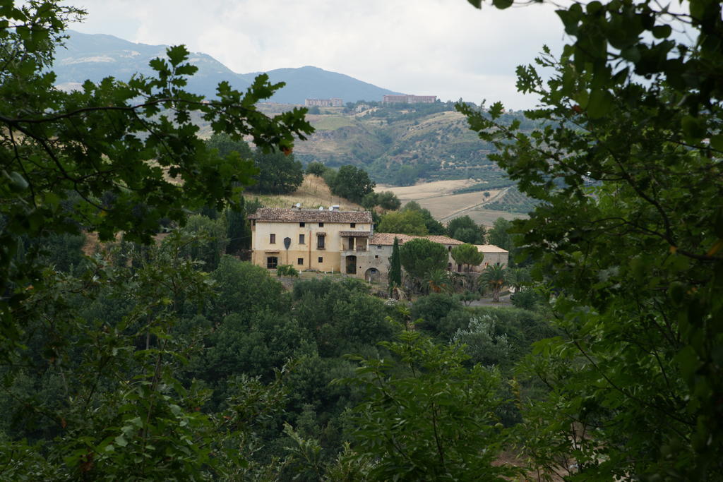 L'Anticocasale Guest House Altomonte Exterior foto